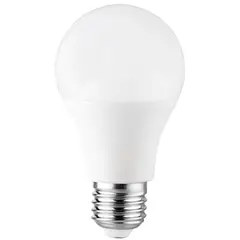 შუქდიოდური ნათურა LINUS 6500K 5W 220-240V E27 — ნათურა და ვაზნა