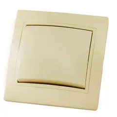 ჩამრთველი TDM 10 A 220 V — როზეტები და ჩამრთველები