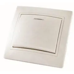 ჩამრთველ განათებით TDM 10 A 220 V — როზეტები და ჩამრთველები
