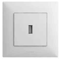 როზეტი ჩარჩოს გარეშე USB,თეთრი LEGRAND — როზეტები და ჩამრთველები