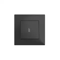 როზეტი LEGRAND ჩარჩოს გარეშე USB შავი — როზეტები და ჩამრთველები