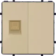 როზეტი Socket Internet 1 RJ45 ოქროსფერი — როზეტები და ჩამრთველები