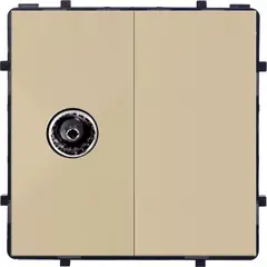 როზეტი Style Socket ერთ სექციური TV Female ოქროსფერი — როზეტები და ჩამრთველები