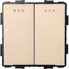 ჩამრთველი Socket Style 2 2G-2W ოქროსფერი — როზეტები და ჩამრთველები