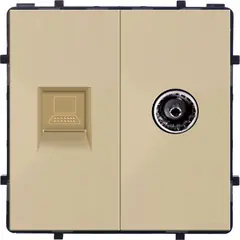 როზეტი Style Internet Socket ორ სექციური CAT6 RJ45 TV Female ოქროსფერი — როზეტები და ჩამრთველები