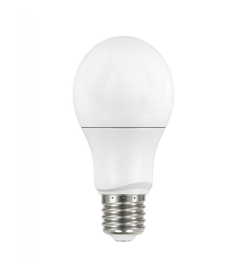 ნათურა  LED  A50  ფერი   2700K    5W — ნათურა და ვაზნა