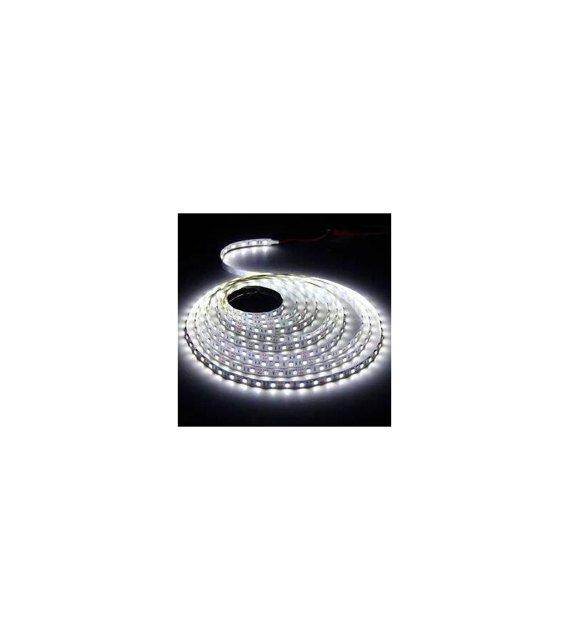ლენტური განათება SND-21 12V-5M თეთრი — LED განათება