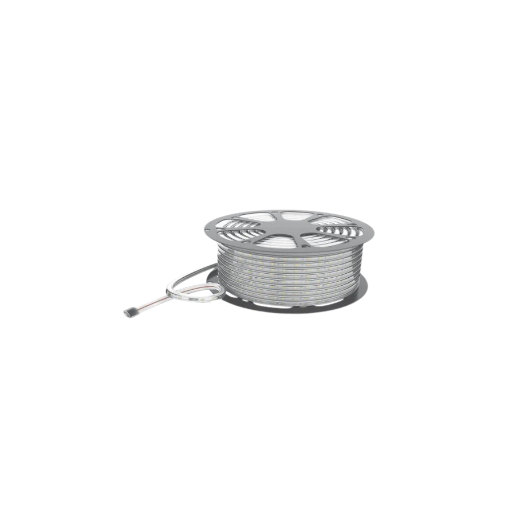 LED ლენტი 12V 50X50 6500K 5მ TECHTOUCH 42247 — ნათურა და ვაზნა