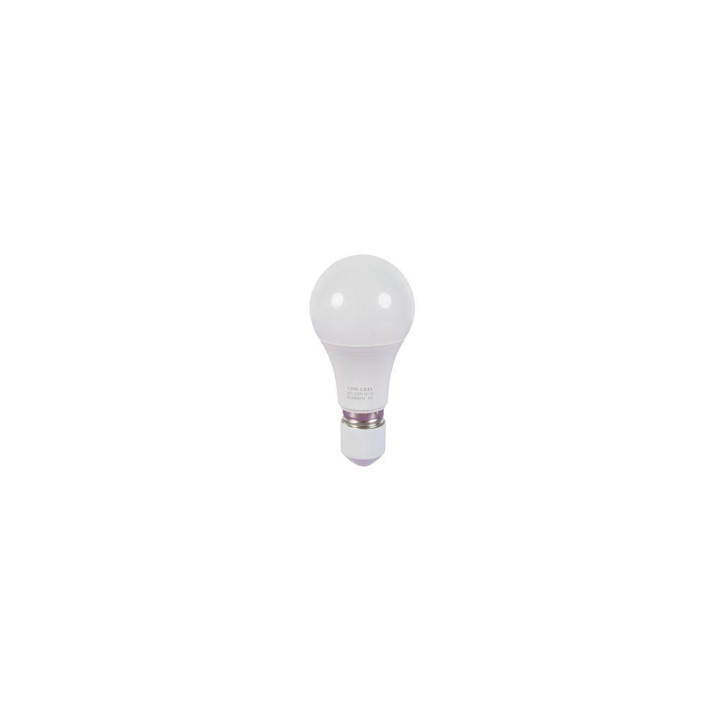 LED ნათურა 6500K (1018-4-12W-A65) — ნათურა და ვაზნა