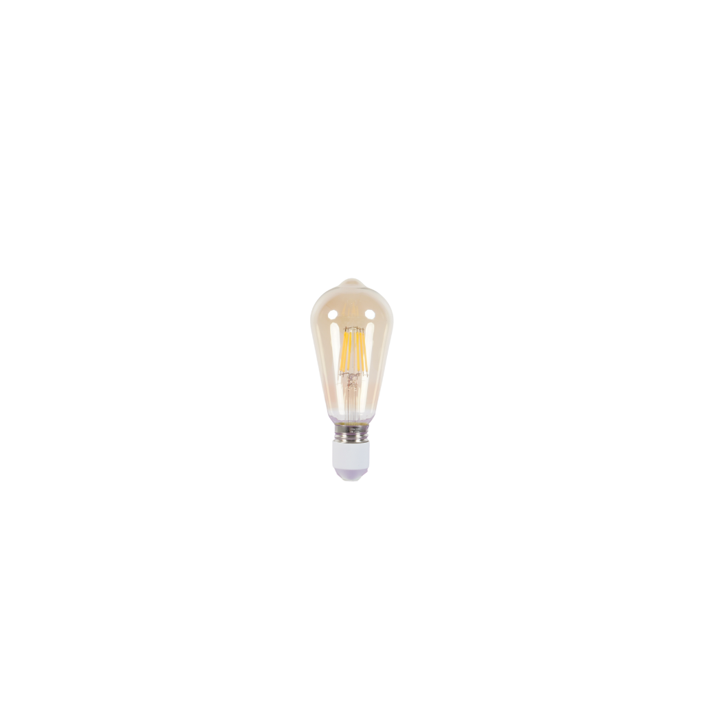 LED ნათურა 3000k (1018-21-ST64-Amber-6W) — ნათურა და ვაზნა