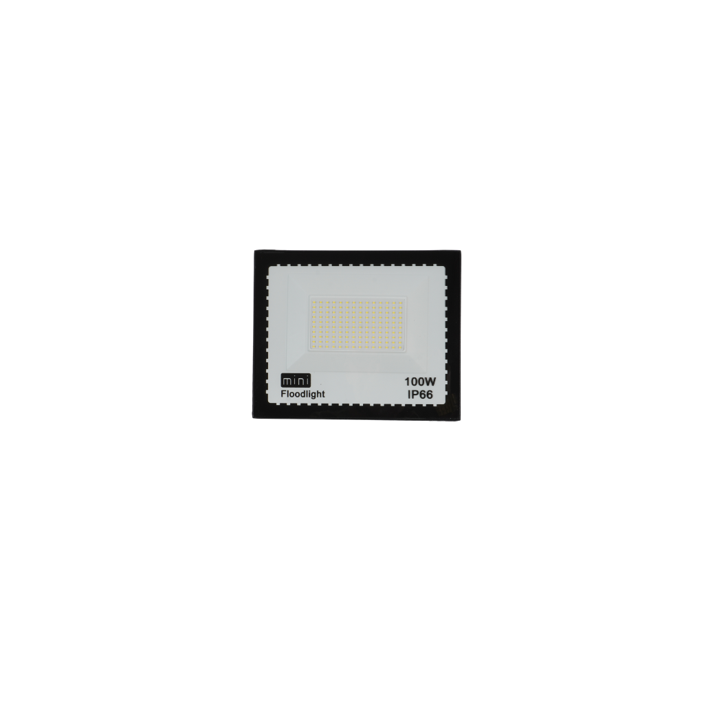 LED პროჟექტორი mini flood light 6500K (1018-17-DOB-100W) — პროჟექტორი